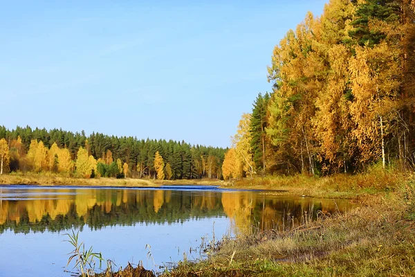 Scenic Autumn Landscape Trees Forest River Lake Nature View Fall Stock Photo