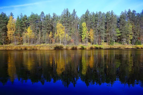 Herbst Taiga Waldlandschaft Blick Auf Die Natur Herbst Den Bergen Stockbild