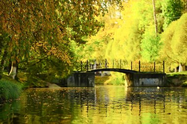 Central Park 'ta sonbahar manzaralı gölet, güzel sonbahar manzaralı sonbahar manzaralı doğa.