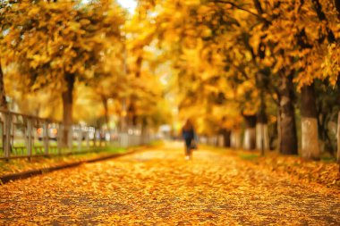 Sonbahar parkındaki güneşli manzara, sonbahar sezonu arka planındaki portakal parkı