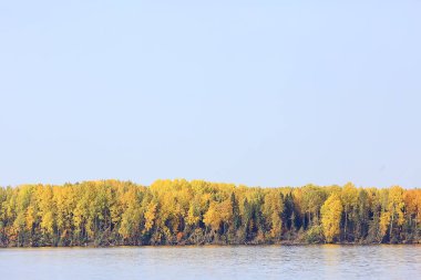 manzara, sonbahar manzarası ağaçları ve orman nehri ve göl, doğa manzarası arka plan