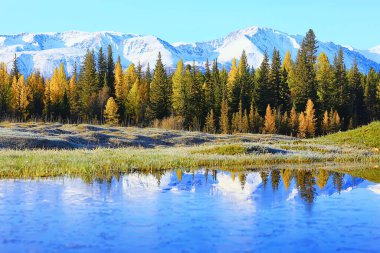 manzara, sonbahar manzarası ağaçları ve orman nehri ve göl, doğa manzarası arka plan
