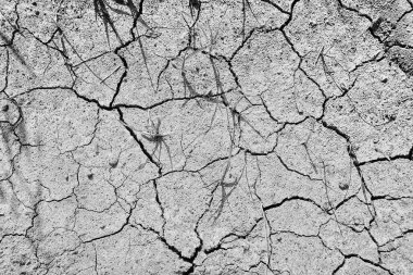 Doku çöl kuraklığı soyut arka plan Dünya ısınmayı küresel hale getirdi