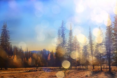 Soyut manzara arka plan. Sonbahar güneşi parıldıyor. Güneş ışığını görüyor.