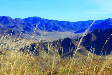 Altai dağları arka plan manzarası manzarası