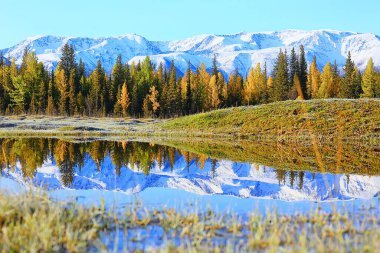 manzara, sonbahar manzarası ağaçları ve orman nehri ve göl, doğa manzarası arka plan