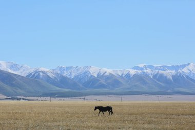Dağlar karlı zirveler arka plan, manzara manzarası kış zirveleri