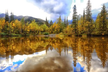 Sonbahar ormanı dağları manzara ağaçları, doğa sarı mevsim