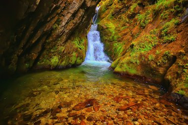 Şelale manzarası. Doğa, su dağları. Altai nehri.