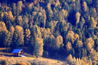 Altai dağları arka plan manzarası manzarası