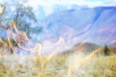 Orman yangını arka plan manzarası, ormandaki yangın ve duman, kuraklık ağaçları yanıyor.