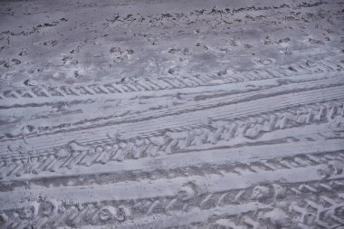 Kum köpeğinin arka planında ayak izleri var.