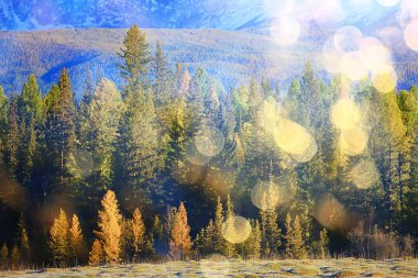 Soyut manzara arka plan. Sonbahar güneşi parıldıyor. Güneş ışığını görüyor.