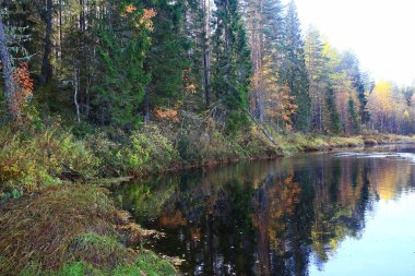 manzara, sonbahar manzarası ağaçları ve orman nehri ve göl, doğa manzarası arka plan