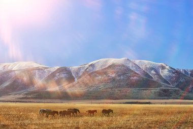 Altai dağları arka plan manzarası manzarası