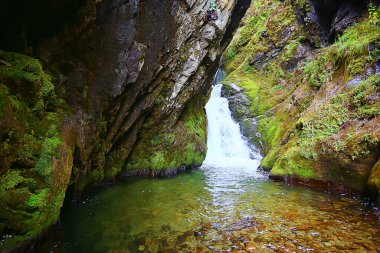 Şelale manzarası. Doğa, su dağları. Altai nehri.