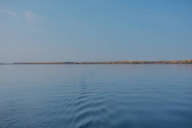 manzara, sonbahar manzarası ağaçları ve orman nehri ve göl, doğa manzarası arka plan