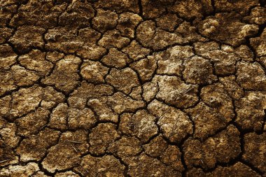 Doku çöl kuraklığı soyut arka plan Dünya ısınmayı küresel hale getirdi