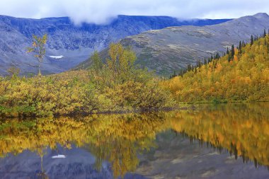Sonbahar taiga orman manzarası, doğa manzarası dağlara düşüyor.