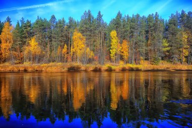 Sonbahar orman manzarası, soyut arkaplan ekim manzarası sarı ağaçlar, sonbahar doğası