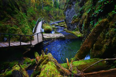 Altai dağları arka plan manzarası manzarası