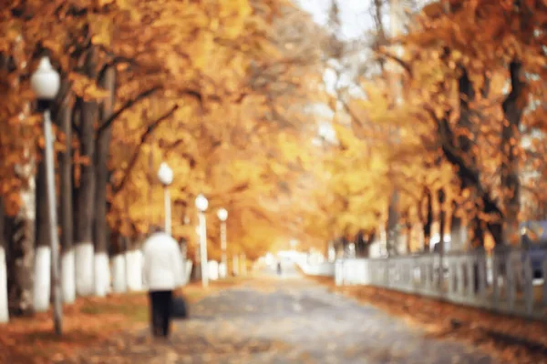 抽象的なぼやけた秋の背景公園都市の秋の自然10月 — ストック写真