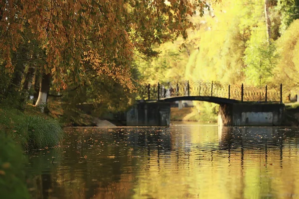 Осенний Пейзажный Пруд Центральном Парке Города Красивый Осенний Пейзаж — стоковое фото