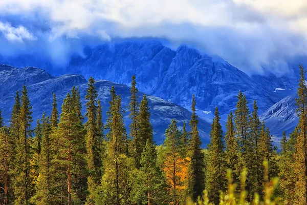 秋の森の山のパノラマ風景の木自然黄色の季節 — ストック写真