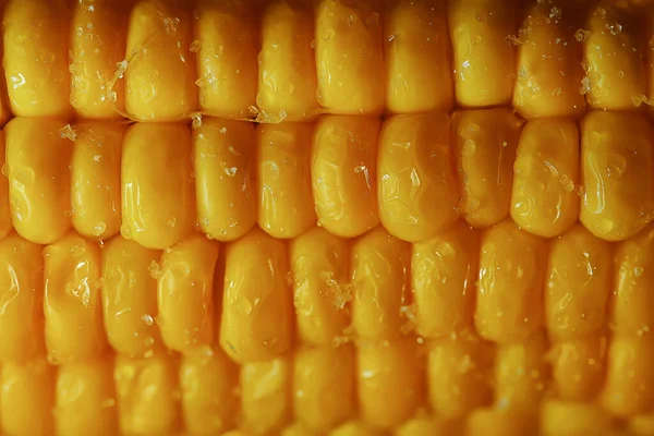 Gotowana Gorąco Kolba Kukurydzy Świeże Tło Diety Warzywnej — Zdjęcie stockowe
