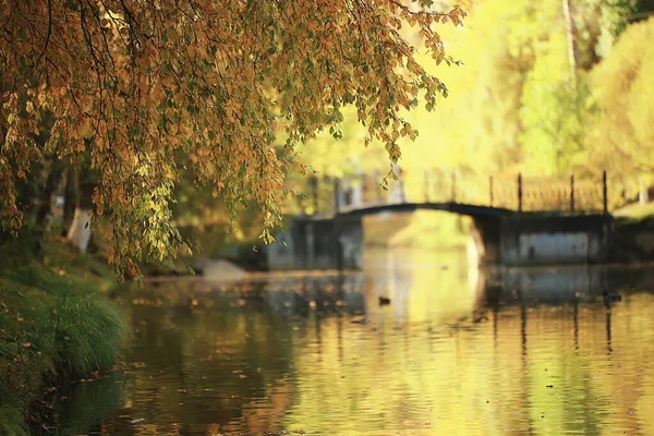 Herbst Landschaftsteich Der Stadt Central Park Schöne Herbst Landschaft Blick — Stockfoto