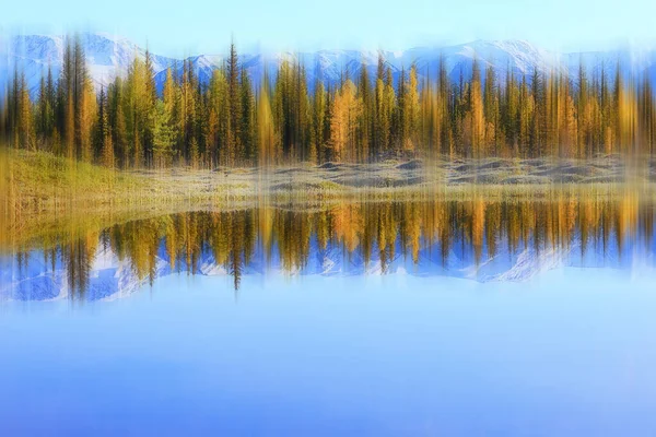 Arka Planda Bulanık Sonbahar Manzarası Soyut Bulanık Bokeh Sonbahar Ağaçları — Stok fotoğraf