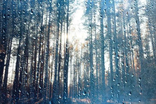 Pioggia Vista Finestra Gocce Acqua Vetro Vista Foresta Montagne Paesaggio — Foto Stock