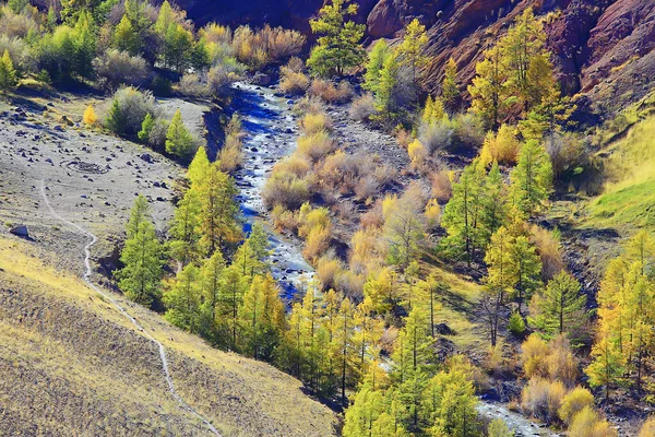 Altai Bergslandskap Panorama Höst Landskap Bakgrund Falla Natur Utsikt — Stockfoto