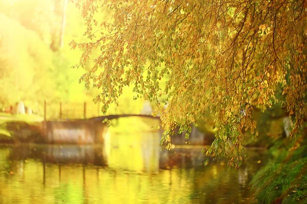 秋天公园阳光明媚的风景 秋天季节背景橙色公园 — 图库照片