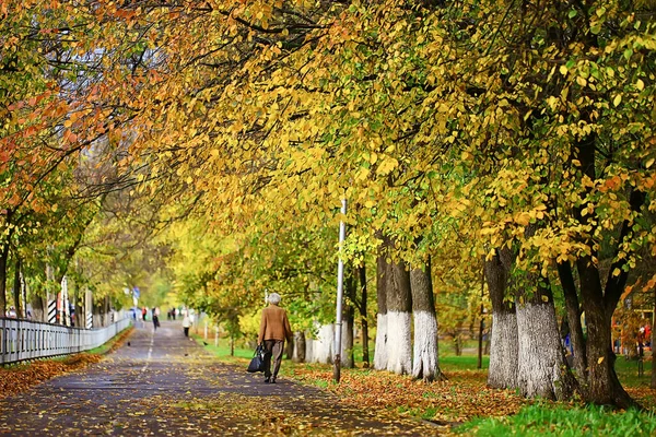 Ulička Podzimním Parku Krajina Podzim Žlutá Silnice Sezónní Krajina Říjnu — Stock fotografie