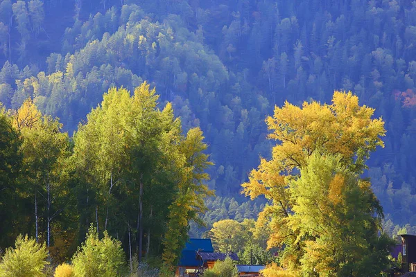 Sonbahar Orman Manzarası Soyut Arkaplan Ekim Manzarası Sarı Ağaçlar Sonbahar — Stok fotoğraf