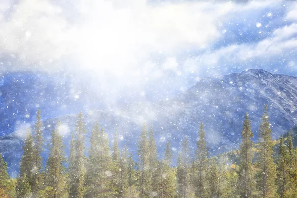 秋の雪景色の背景自然風景冬の最初の雪のテクスチャ — ストック写真