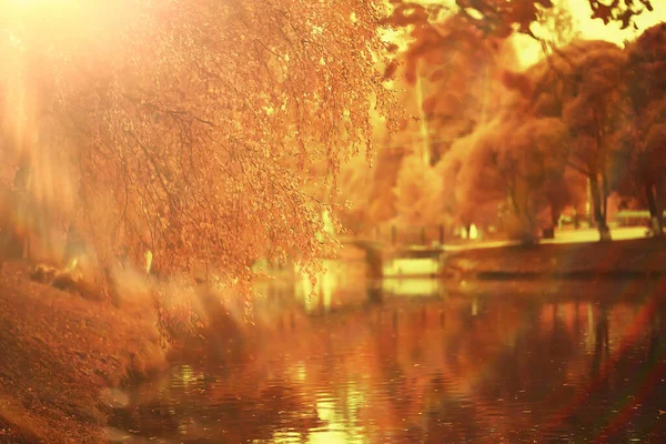 Sonnige Landschaft Herbst Park Herbst Jahreszeit Hintergrund Orange Park — Stockfoto