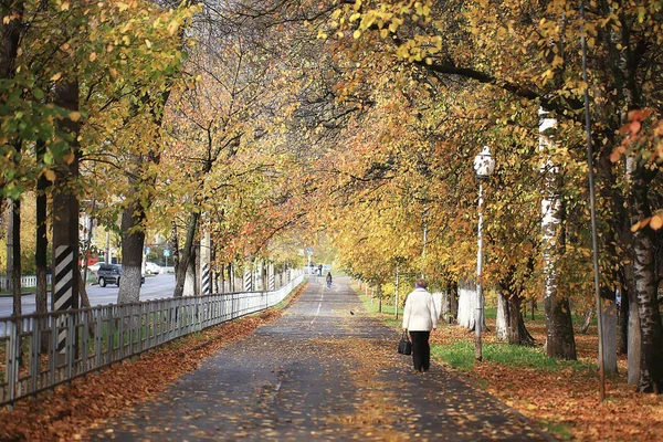 Vicolo Autunno Parco Paesaggio Autunno Giallo Strada Paesaggio Stagionale Ottobre — Foto Stock