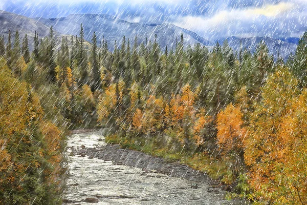 Jesień Krajobraz Natura Deszcz Krople Pogoda Mokry Zewnątrz Krajobraz Widok — Zdjęcie stockowe