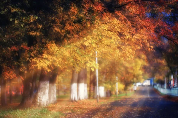 Sonnige Landschaft Herbst Park Herbst Jahreszeit Hintergrund Orange Park — Stockfoto