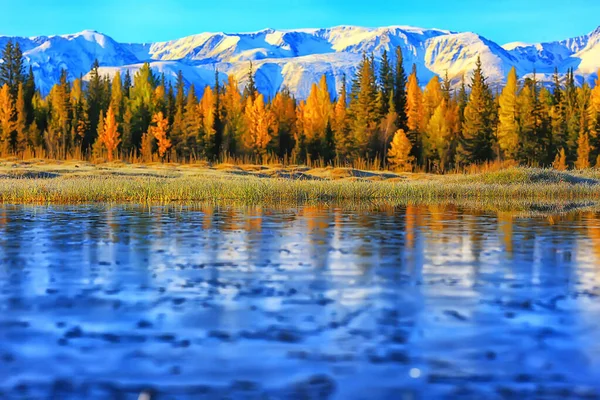 Höst Skog Landskap Abstrakt Bakgrund Oktober Gula Träd Falla Natur — Stockfoto