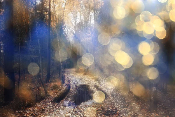 Abstract Landschap Achtergrond Herfst Zon Verblinding Defocus Bokeh Bekijk Zon — Stockfoto