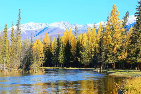 Altai Ορεινό Τοπίο Πανόραμα Φόντο Φθινοπωρινό Τοπίο Θέα Στη Φύση — Φωτογραφία Αρχείου
