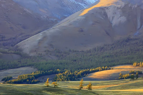 Altai Montanha Paisagem Panorama Outono Paisagem Fundo Queda Natureza Vista — Fotografia de Stock