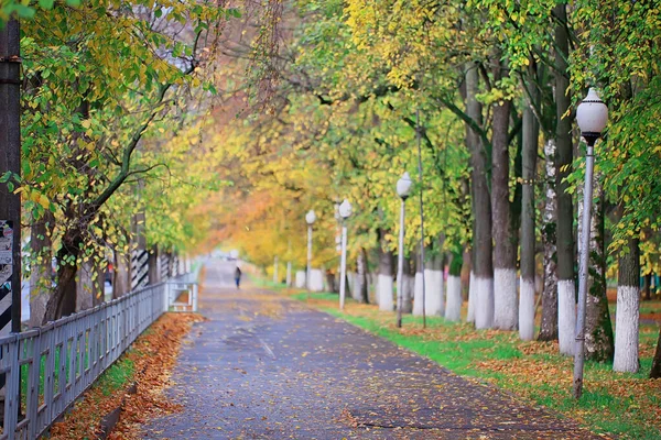 Ulička Podzimním Parku Krajina Podzim Žlutá Silnice Sezónní Krajina Říjnu — Stock fotografie