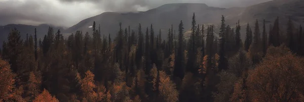 Sonbahar Ormanı Dağları Manzara Ağaçları Doğa Sarı Mevsim — Stok fotoğraf