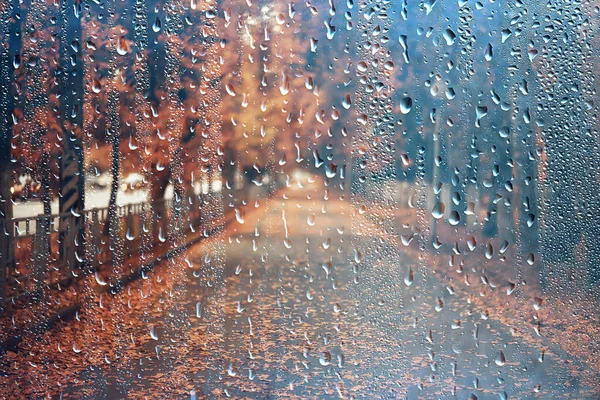 雨の背景秋の風景公園抽象的な季節の誰も天気10月の風景 — ストック写真