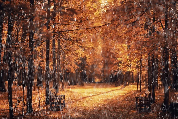 Pioggia Autunno Paesaggio Vista Parco Panchina Gocce Pioggia Concetto Triste — Foto Stock