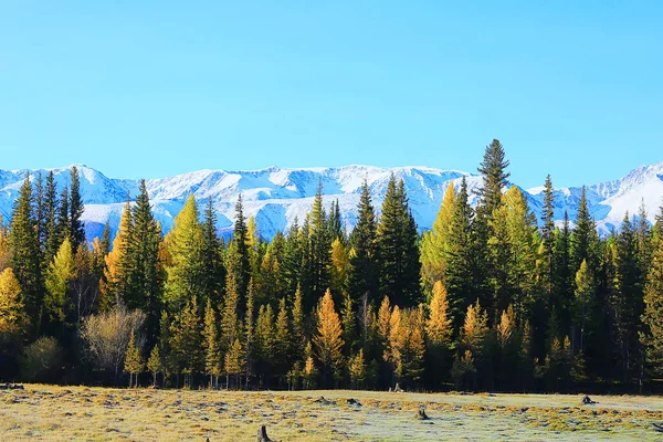 Altai Montaña Paisaje Panorama Otoño Paisaje Fondo Caída Naturaleza Vista — Foto de Stock